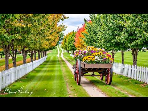 Beautiful Relaxing Music 🌿 Soothing Music For Stress Relief, Deep Relaxtion, Calm Nervous