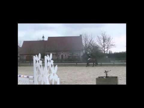 55. Vasco Da Gama DH Z