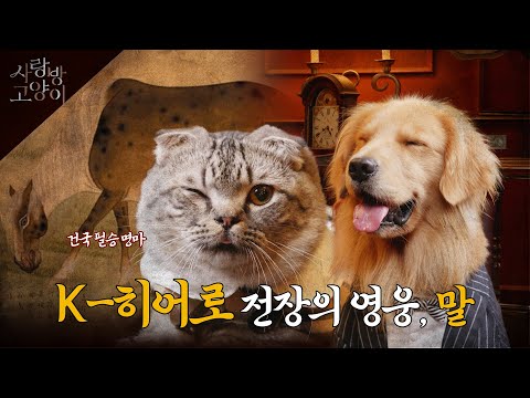 말 이야기 한번 들어볼래? ㅣ사랑방 고양이 3부 (SUB)