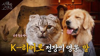 말 이야기 한번 들어볼래? ㅣ사랑방 고양이 3부 (SUB)