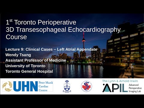 9 Tsang - 2019 - Cases: LAA. Toronto Perioperative 3D TEE Course 2019