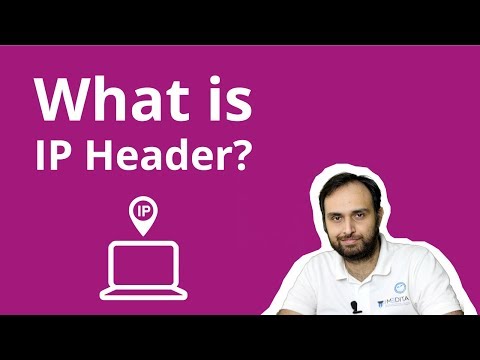What is IP Header? Learn Networking at Best Training Institute