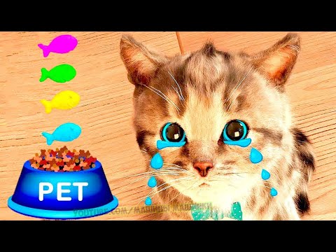 Cute Kitten Little Cat Adventure - Play Fun Pet Care - Preschool Educational Games #432