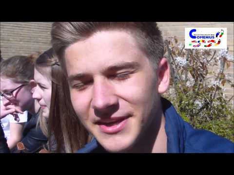 HBHM Video Hildesheim