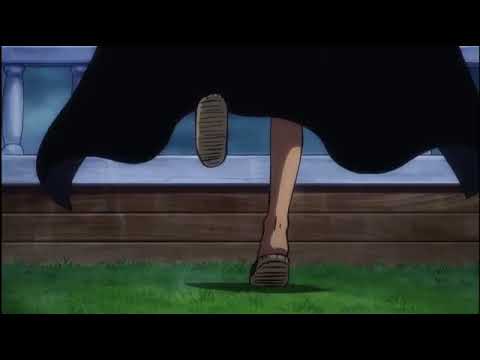 Strawhats reaction to Jinbe joining, Strawhats welcome Jinbe, One Piece Episode 981