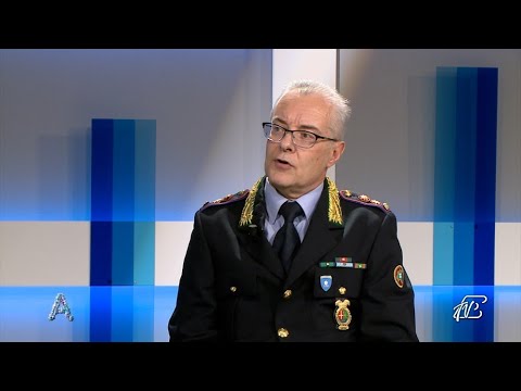 ANGOLI 8/11/2022: LA PRESENZA DEGLI UNGULATI METTE A RISCHIO LA SICUREZZA STRADALE