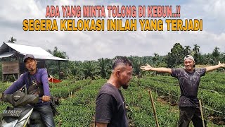 Download lagu ADA YANG MINTA TOLONG DI KEBUN..!! SEGERA KELOKASI INILAH YANG TERJADI mp3 Download lagu ADA YANG MINTA TOLONG DI KEBUN..!! SEGERA KELOKASI INILAH YANG TERJADI mp3