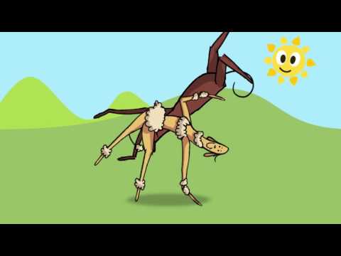 Eu Tenho Medo... - Lucila Novaes (Clipe) | Pra Criançada