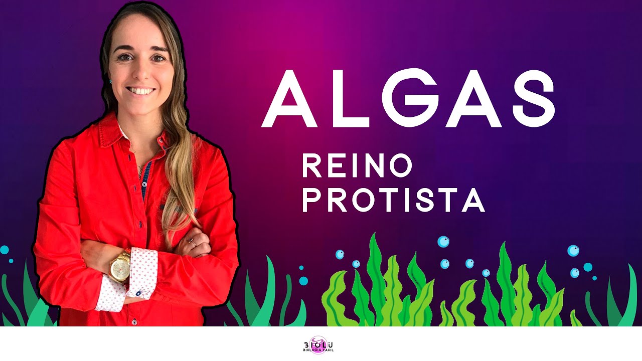 ALGAS - REINO PROTOCTISTA | Prof. Louise Medeiros