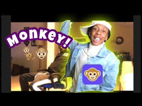 Asking Public Interview Questions On Monkey 🐒