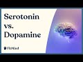 Serotonin Vs Dopamine 7 Key Differences Between Pleasure And Happiness