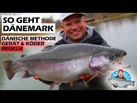 Die besten Montagen in Dänemark am Forellensee I FANG MIT FABI 3