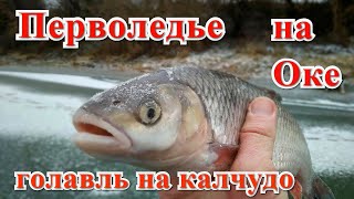 Открытие сезона рыбалки на оке