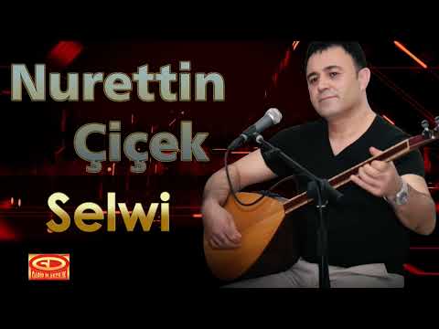 Nurettin Çiçek - Selwi