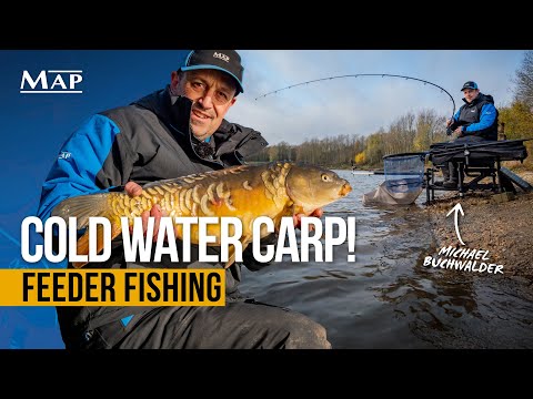INCREDIBLE Winter Carp Session! | Feeder Fishing | Match Fishing