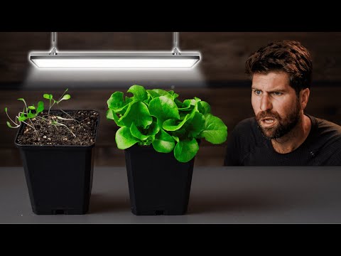 Shop Light vs Grow Light: WATCH THIS Before Buying a Grow Light!