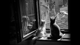 Sunday Morning -The Bolshoi- (Sub español)