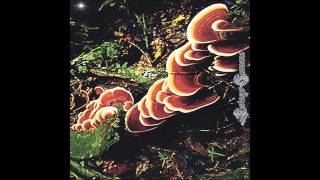 Jaw - Of Kings and Pawns