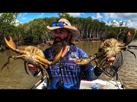 Best Bait For Mud Crabs? Chicken VS Mullet  #mudcrab #crab #skidpig