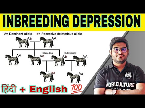 defination allopolyploid allopolyploid kya hai allopolyploid in hindi what is allopolyploid