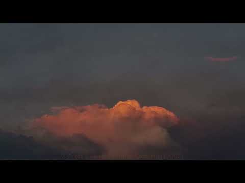 'Absolute' Euphoria | Mixed By Dave Pearce (CD 1)