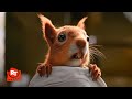 Dolittle 2020 Squirrel Surgery