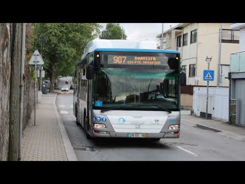 STCP 3244 (audio recording - collab)