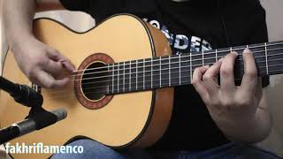 Video thumbnail for Granaína Con Fernando - Buleria (Guitarra Alhambra 10Fc) by Fakhri Flamenco