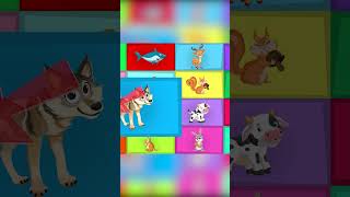 canção dos animais