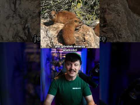 Przodkowie słonia