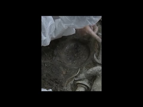 Artefato de bronze em forma de dragão com nariz de porco descoberto nas ruínas de Sanxingdui
