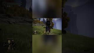 Anyone know why the bear stopped?