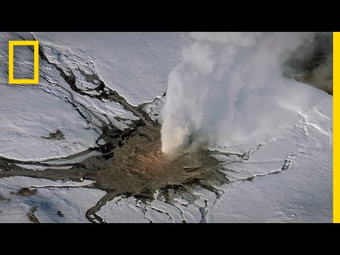 Geysers and Springs of Yellowstone - ASMR | Yellowstone Live
