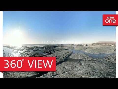 Galapagos Islands in 360° - Planet Earth II: Islands - BBC