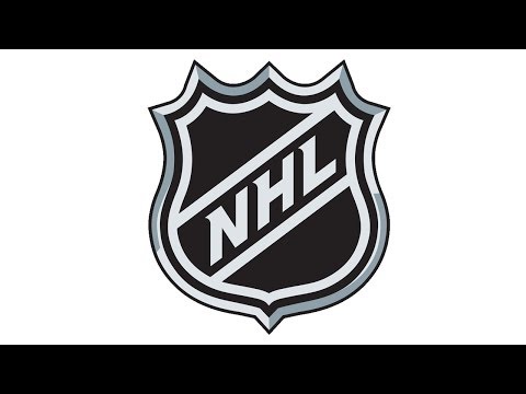 28.01.2014 Carolina Hurricanes vs Montreal Canadiens