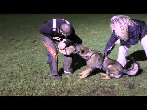 Eschly z Gargamellu protection 7 months