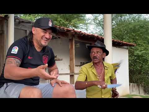 TIRINGA E LOPIM EM PÉ DE GUERRA 😂 | COMÉDIA SELVAGEM ®