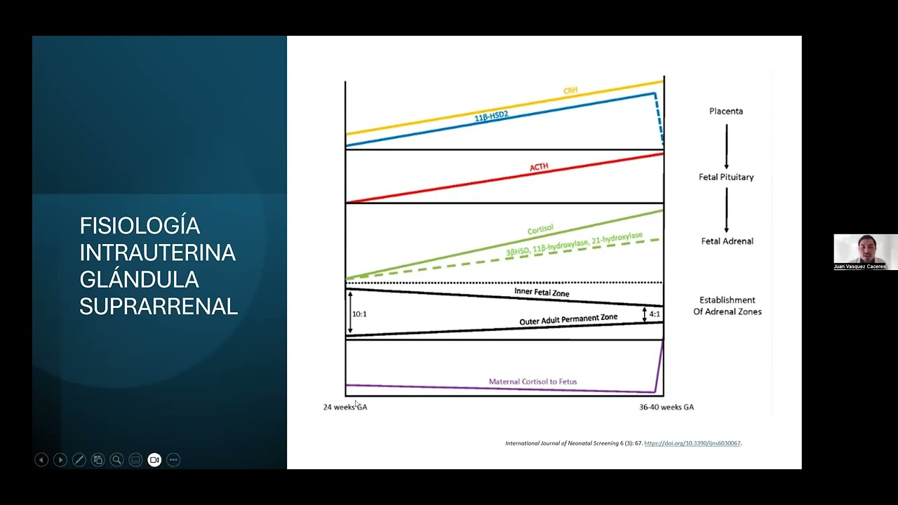 Seminario web SLEIMPN/INTA: Pesquisa neonatal de hiperplasia suprarrenal congénita