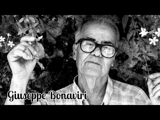 Vídeo relacionado con Il sarto della stradalunga (La memoria)