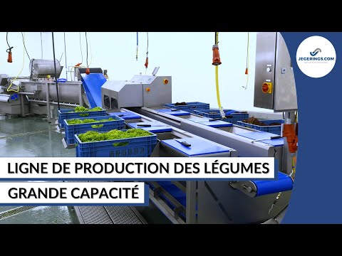 , title : 'Ligne de Production | Pour Couper et Laver les Légumes'