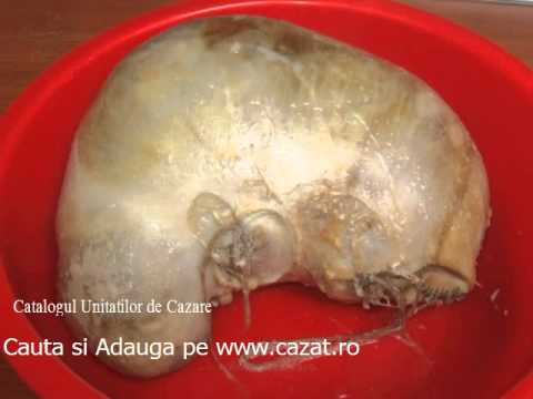 Cazare Canesti, Buzau - Cazat.ro