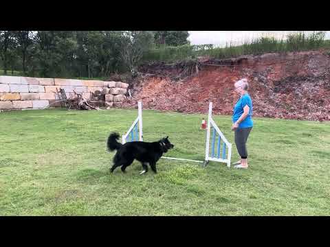 Bram with One Jump for Distance Training