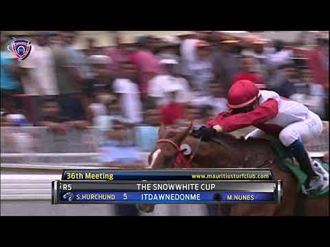 Winners of the day - 36th Meeting 2019 Season