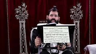 זבחים דף ל"ו ע"ב ¤ הרב נתנאל אברז'ל ¤ בית הכנסת "בית מרדכי" (מוסדות תורת דוד) - התמונה מוצגת ישירות מתוך אתר האינטרנט יוטיוב. זכויות היוצרים בתמונה שייכות ליוצרה. קישור קרדיט למקור התוכן נמצא בתוך דף הסרטון