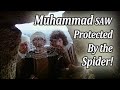 Nabi Muhammad SAW Full Movie Spider Saved Prophet Muhammad | Prophet Muhammad Movie Full |