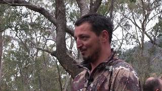 Lov na jelene u Australiji