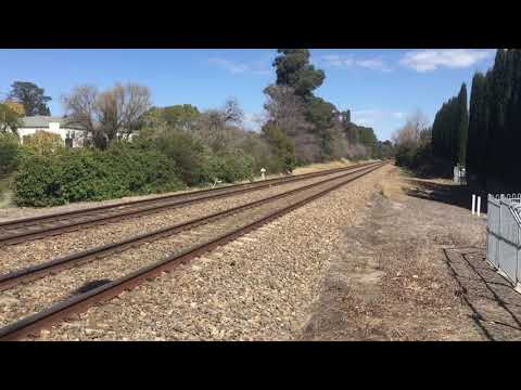 Pacific National cement train