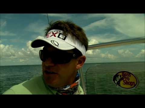 Il predatore perfetto - Parte 1