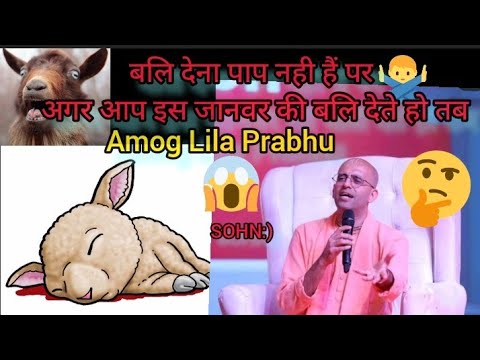 Amog Lila Prabhu on क्या पशुओं की बलि देना सही हैं?? By: #Amog Lila Prabhu