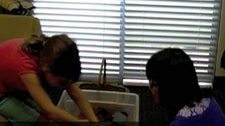 Family Christian Counseling Center